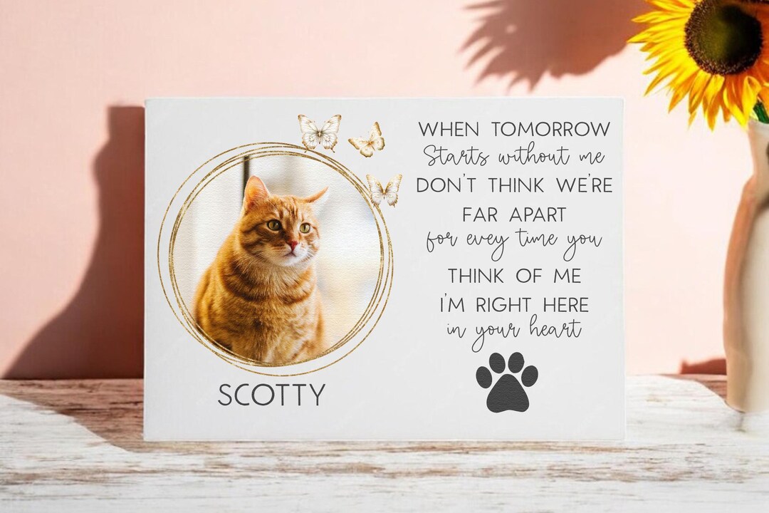 Rainbow Bridge Pet Sympathy Gift, Loss of Dog or Cat Sympathy, A Best ...