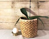 Rattan Wicker Weave Basket, plants, waste paper