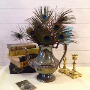 Old Silver Teapot