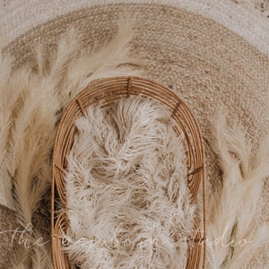 Newborn digital boho basket digital - boho newborn digital image - boho feathers - digital basket - neutral newborn rustic basket