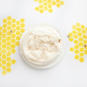 Newborn honeybee honeycomb digital bowl backdrop for photography - Yellow bee digital background - newborn baby photographer image
