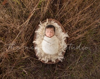 Newborn Digital backdrop outdoor nest in paddock - Baby photography - digital basket background - Photoshop digital rustic