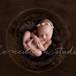 Newborn Digital Backdrop Brown Bowl