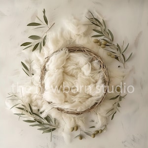 May include: A white fluffy nest made of woven twigs, surrounded by olive branches with green leaves and small green olives. The nest is on a white textured background.