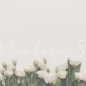 2-pack - Lisianthus digital - floral newborn - flatlay flowers - floral flatlay - lisianthus flat lay - white green fresh floral background