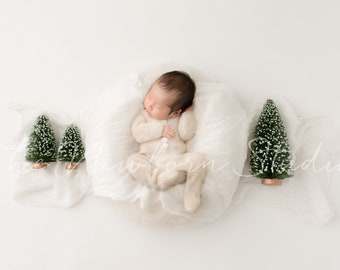 Beautiful Newborn Christmas - Fresh white Christmas - white newborn prop - seasonal Christmas digital - holiday newborn composite - winter