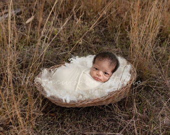 Newborn Digital backdrop outdoor nest in paddock - Baby photography - digital basket background - Photoshop digital rustic