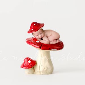 May include: A newborn baby rests on a red mushroom prop with white spots, a whimsical photography prop. The mushroom has a cream-colored stem and a smaller mushroom nearby. The baby is curled up on the mushroom cap.