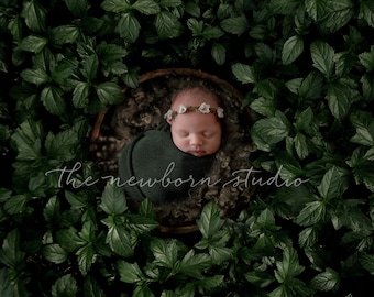 Newborn composite - Newborn outdoors green leaves - Outdoor newborn digital - Newborn nest - Newborn leaf digital - Forest outdoor composite