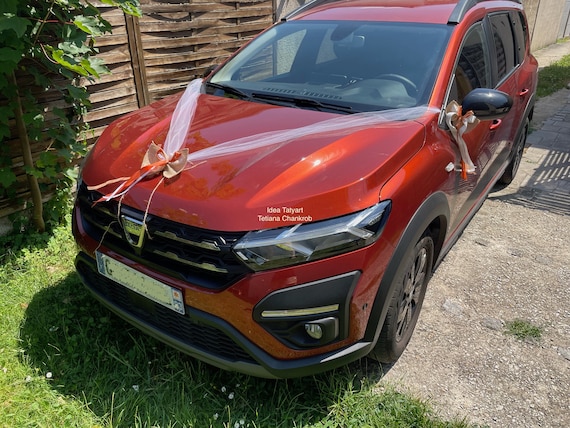 MIVAIUN 30 Gros Nœuds Décoratifs Rouges Pour Voiture, Mariage Et Fêtes - Rubans à Tirer Faciles à Monter