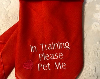 Training/Socializing bandanna