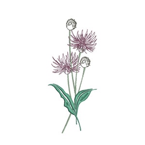 Thistle Bouquet Outline Machine Embroidery Design, Sketchy Embroidery Design