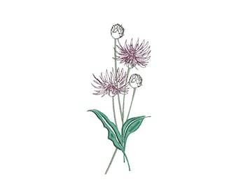 Thistle Bouquet Contorno Macchina Ricamo Design, Sketchy Ricamo Design
