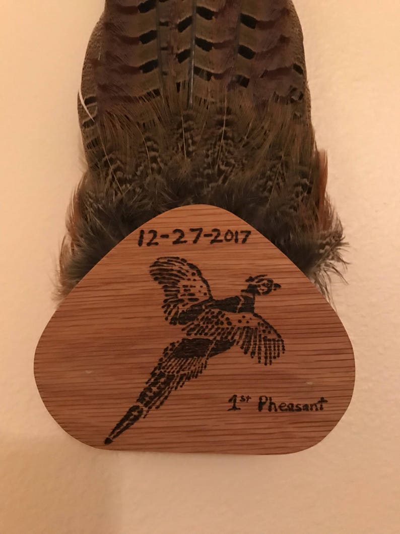 Customized Pheasant Tail-Fan Mount Display
