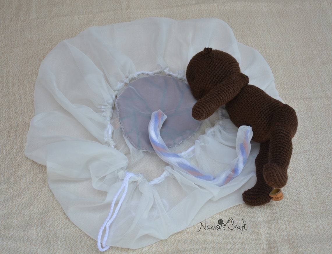 Placenta Umbilical Cord and Amniotic Sac Model Etsy