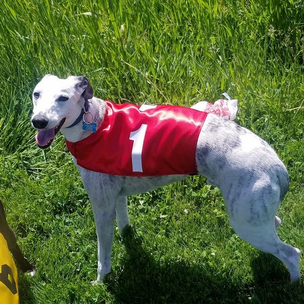 Whippet Race Jackets