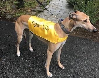 Whippet racing cheap supplies
