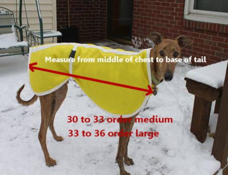 Greyhound coats Greyhound track coats. nylon dog coats Etsy