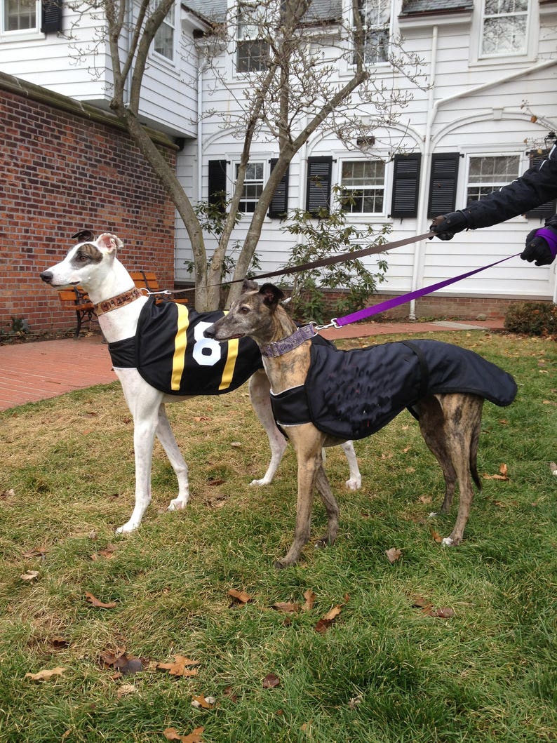 Greyhound coats Greyhound track coats. nylon dog coats Etsy