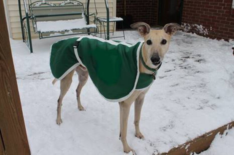 Greyhound coats Greyhound track coats. nylon dog coats Etsy