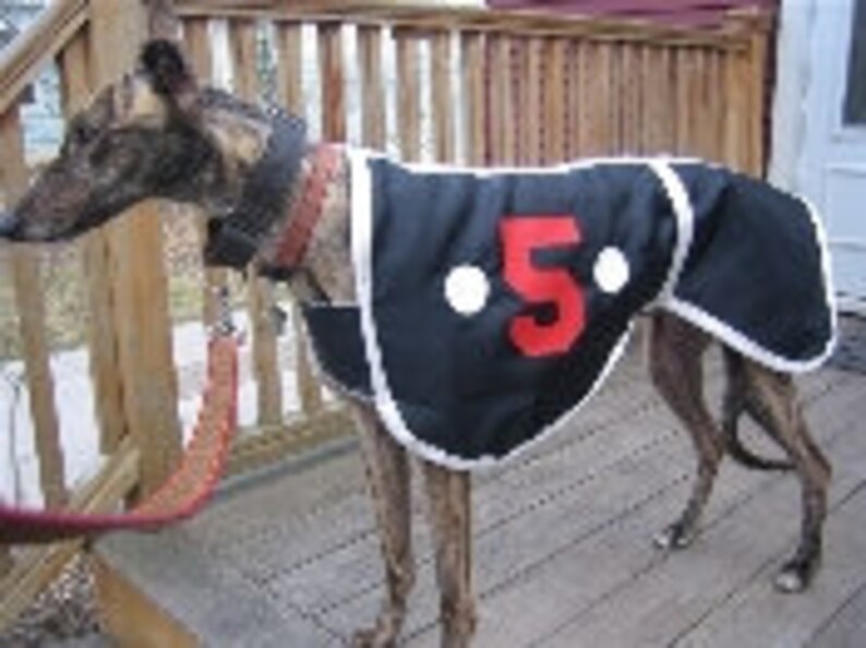Greyhound coats Greyhound track coats. nylon dog coats Etsy