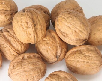 Freshly Harvested California Raw In shell Walnuts -BLEACHED