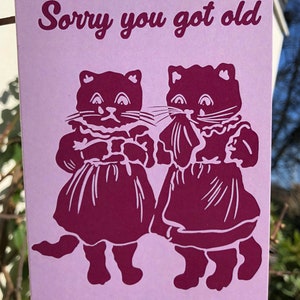 Sorry you got old, cute sad cats 100% recycled birthday greetings card
