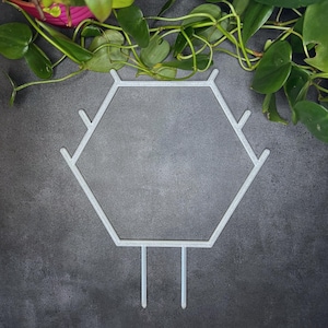 May include: A light gray, hexagonal plant trellis with two vertical stakes at the bottom and branch-like extensions at the top. The trellis is designed to support climbing plants. Green leaves and vines are visible in the background.