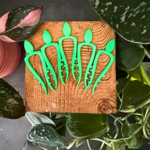 May include: A collection of five bright green plant clips arranged on a square wooden block. The clips have a unique design, resembling small figures. The wooden block has a natural wood grain pattern. The background includes various green and pink plant leaves.