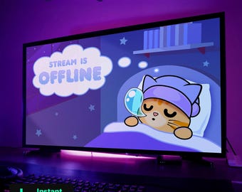 Gatto soriano arancione Twitch Schermata offline Scena offline, Grafica Twitch, Grafica streamer, Streaming accogliente, Streaming carino / Gatto Schermata offline