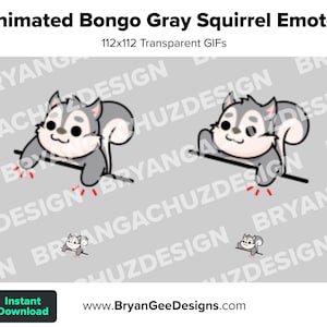 Animated Bongo Gray Squirrel Emote for Twitch or Discord