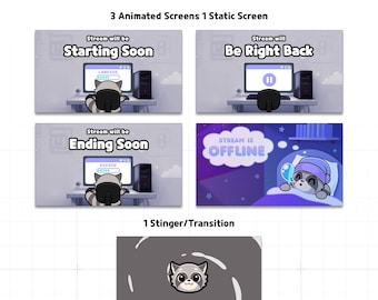 Kit di streaming animato con procione – Sala giochi / Inizio a breve BRB Fine stinger offline / Pacchetto di espulsione streaming Twitch YouTube 1920x1080