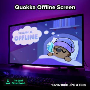 Op de afbeelding: Een digitale illustratie op een monitor, met een slapende quokka in een paarse slaapmuts en deken. Het scherm toont "Stream is Offline" in een wolk-vormige tekstballon. Inclusief "Direct downloaden" en resolutie details.