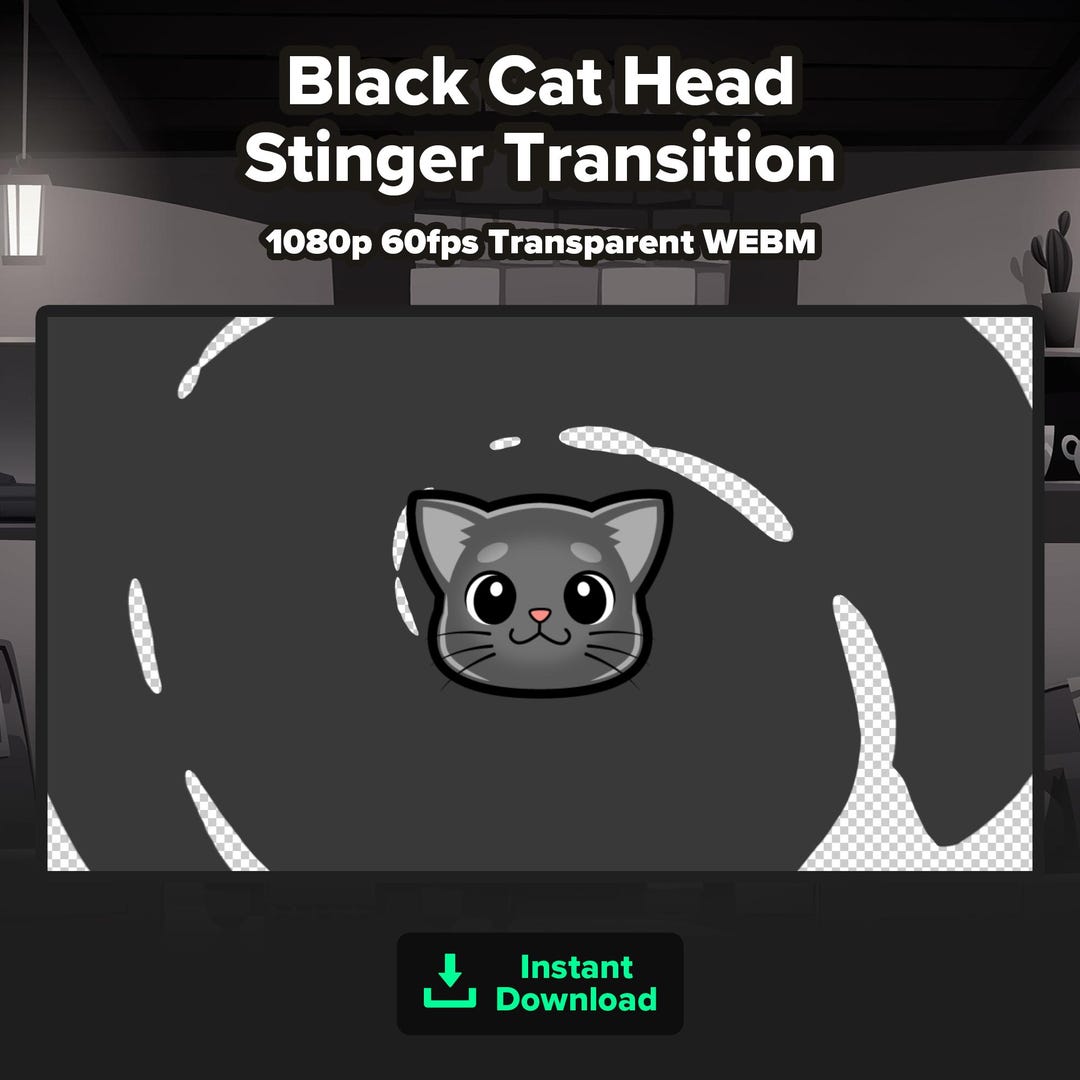 Black Cat Stinger Transition | Animated Twitch Scene Transition ...