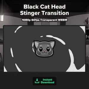 Black Cat Stinger Transition | Animated Twitch Scene Transition | Animated Stinger | Cat Scene Transition