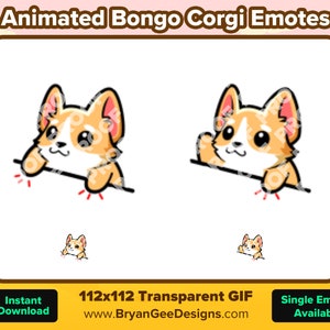 May include: Animated GIF of a corgi dog playing the bongos. The corgi is brown and white with big eyes and a happy expression. The GIF is 112x112 pixels and has a transparent background.