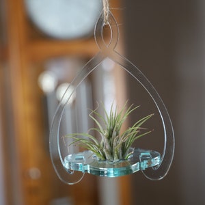 Green Glass Acrylic Air Plant Holder