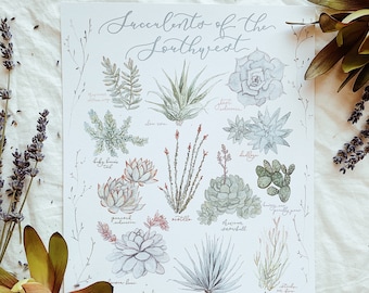 Succulents of the Southwest Art Print: Vintage Botanical Poster