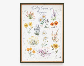Wildflowers of Arizona Art Print - Cottage Watercolor Painting, Vintage Botanical Poster, Gallery Wall, Phoenix Tucson Desert Flowers Plants
