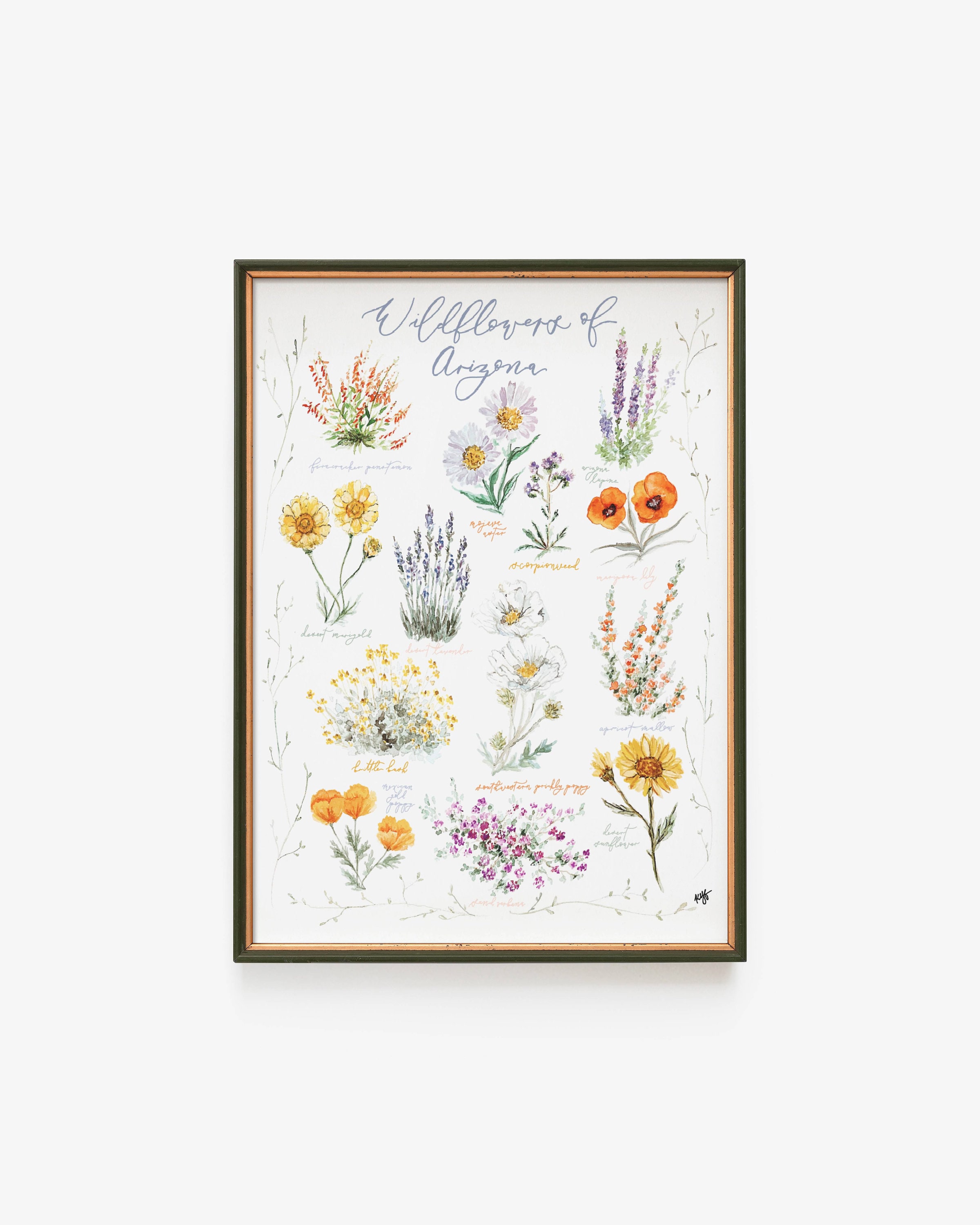 Arizona Wildflower Art Print: Vintage Botanical Watercolor Poster