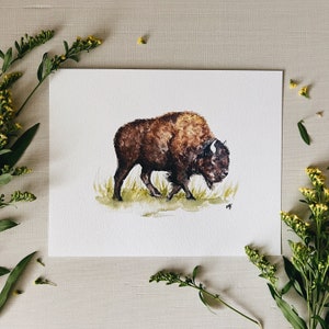 Buffalo Bison Watercolor Art Print | Simple Animal Painting for Baby Nursery | Boho Woodland Forest Adventure Theme | Nature Gallery Wall