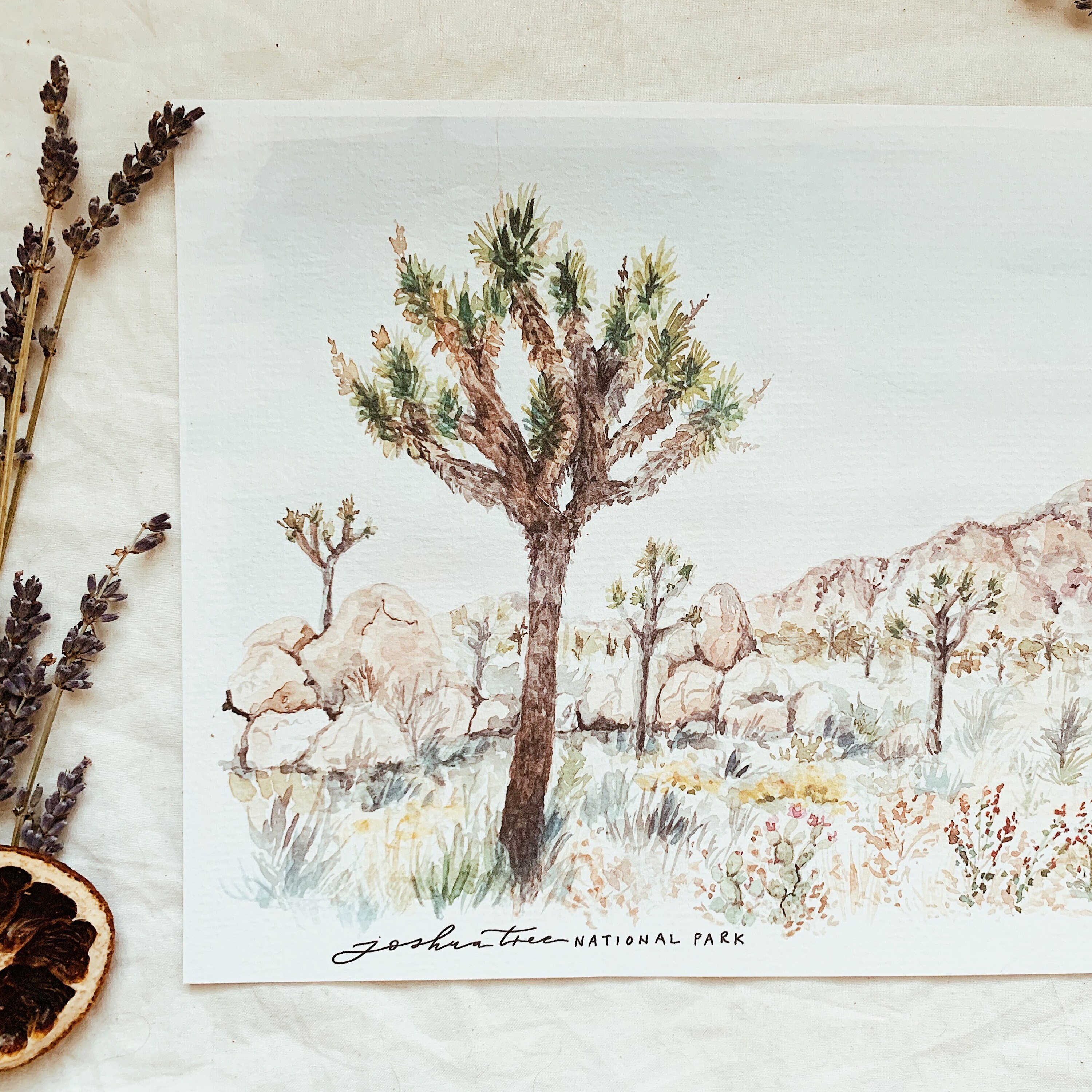 Joshua Tree National Park Print Fine Art Watercolor Painting - Etsy