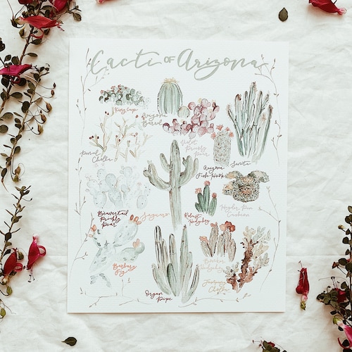 Wildflowers of Arizona Wall Art Printwatercolor Flowers Print Etsy