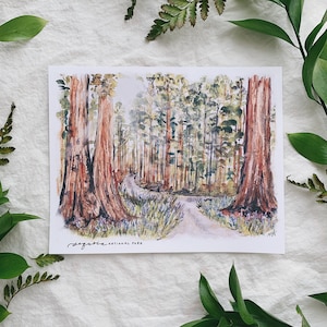 Sequoia National Park print, watercolor painting, nature wall art California giant forest trees trail northern CA Hume Fresno travel hike