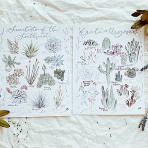 Succulents of the Southwest & Cacti of Arizona SET OF 2 Wall Art Prints-Succulent Cactus 8x10 11x14 13x16 Botanical Poster Plant Type Desert