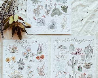 Arizona Desert Botanical Art Prints: Southwest Wildflowers, Cacti, Succulents SET