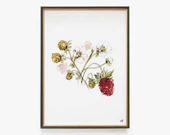 Wild Strawberry Watercolor | Wildflower Gallery Wall Art | Cottage core design decor | Floral Girl Nursery | Vintage Farm Botanical Prints