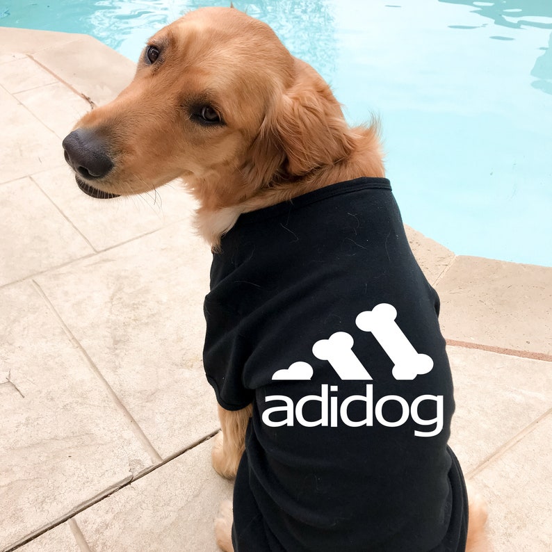 personalised dog jumper