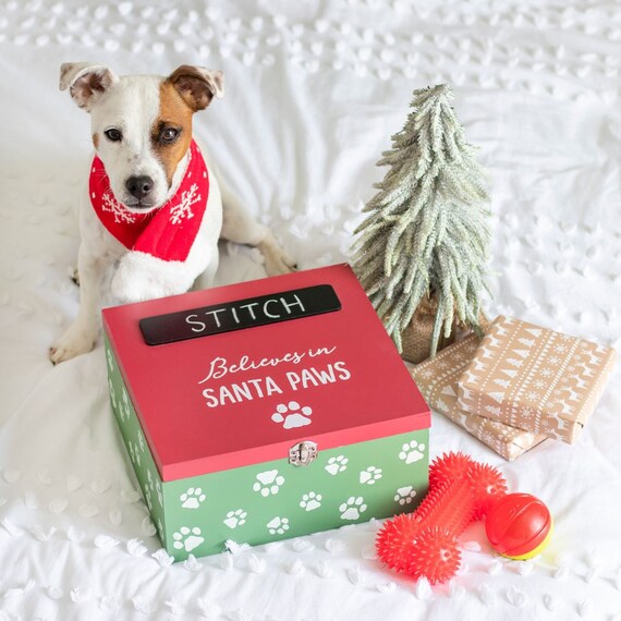 kirkland grain free dog food review