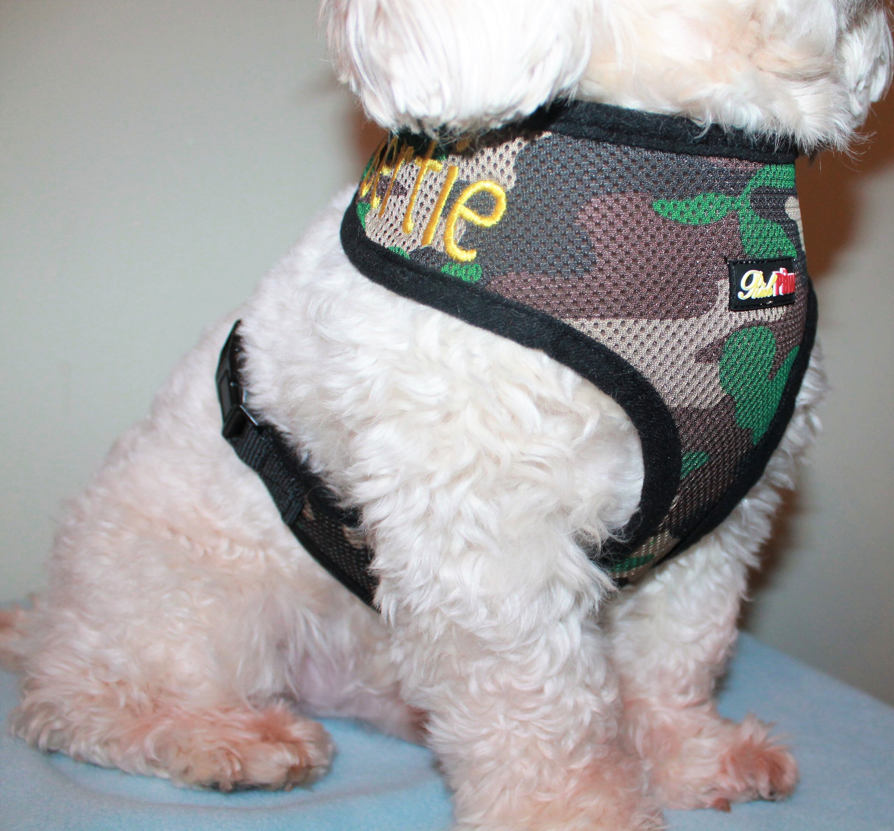 Personalised Dog Harness Custom Dog Harness Embroidered Name Etsy UK